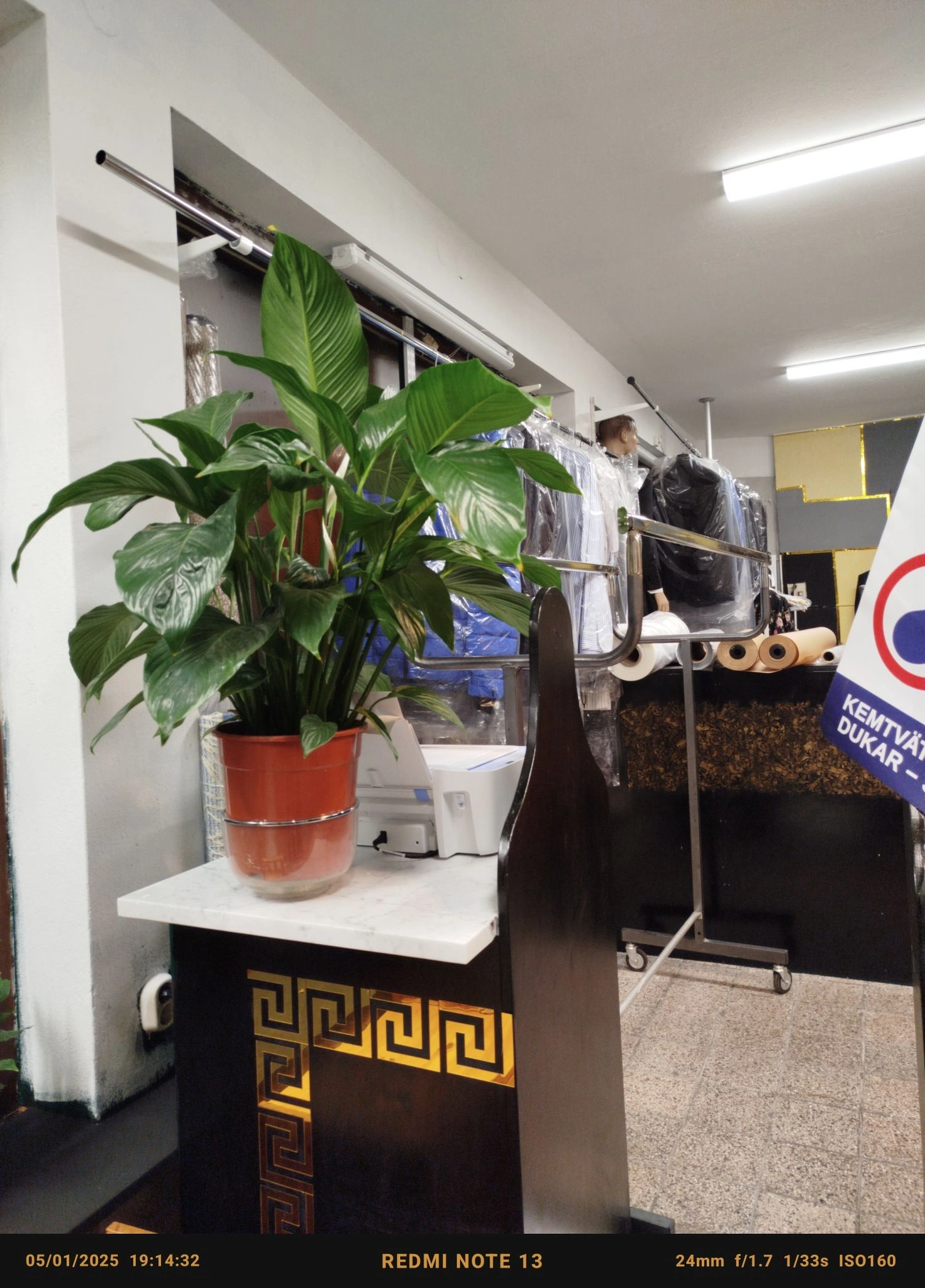 Ateljédetalj med växt